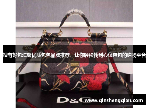 搜有好包汇聚优质包包品牌推荐，让你轻松找到心仪包包的购物平台